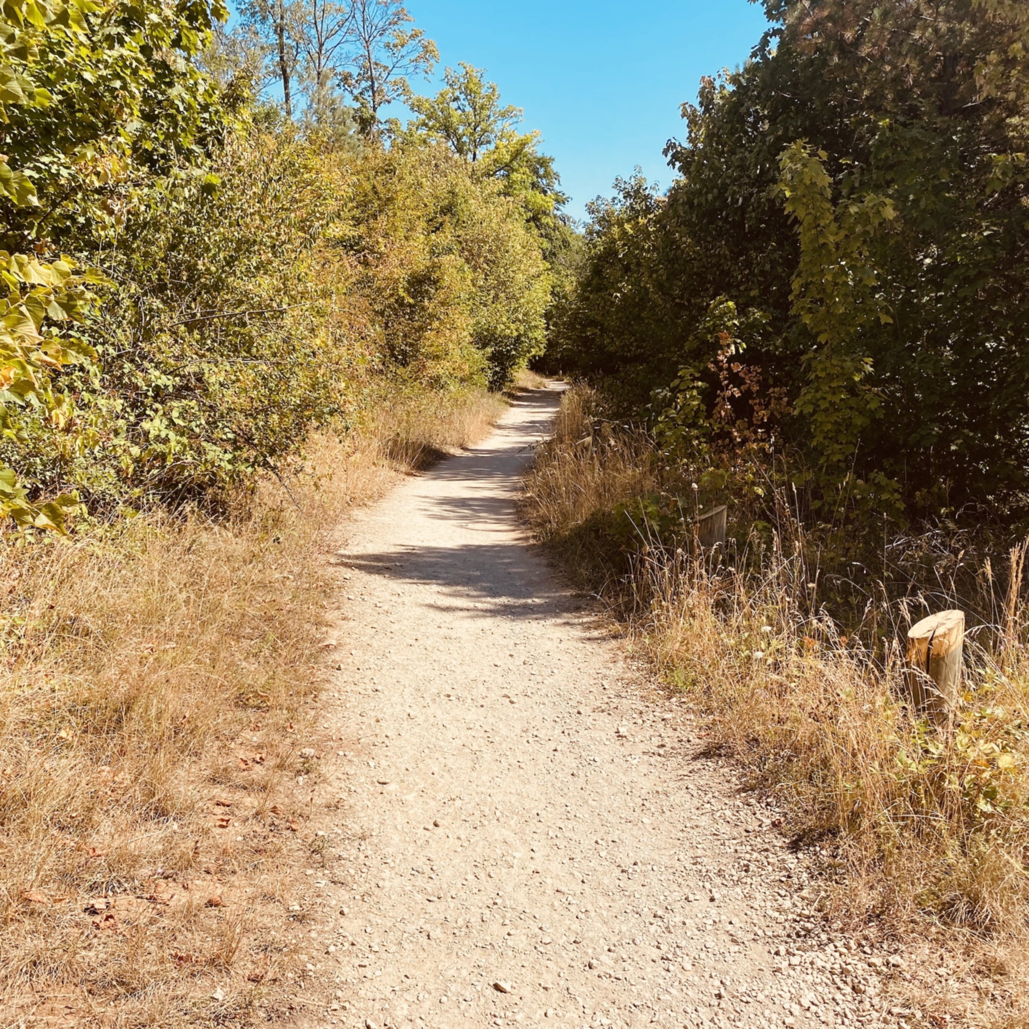 Sentier blanc sur le plateau