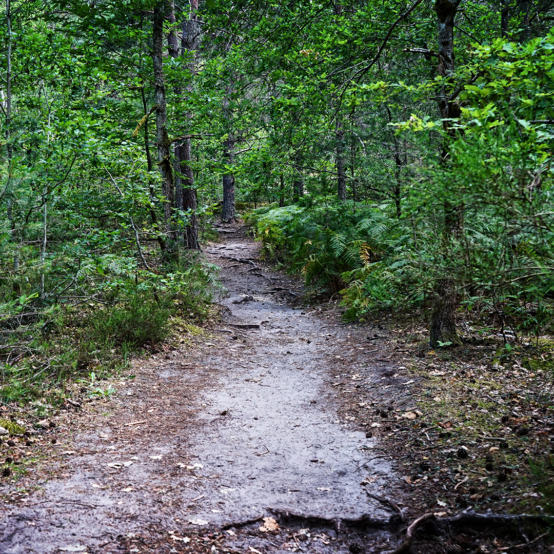 On prend à gauche en direction de la 1ère bosse qui te met direct dans le vif du sujet, puisque ca grimpe sec. C&amp;#039;est un bon apercu de la difficulté du parcours qui s&amp;#039;etend sur 16kms