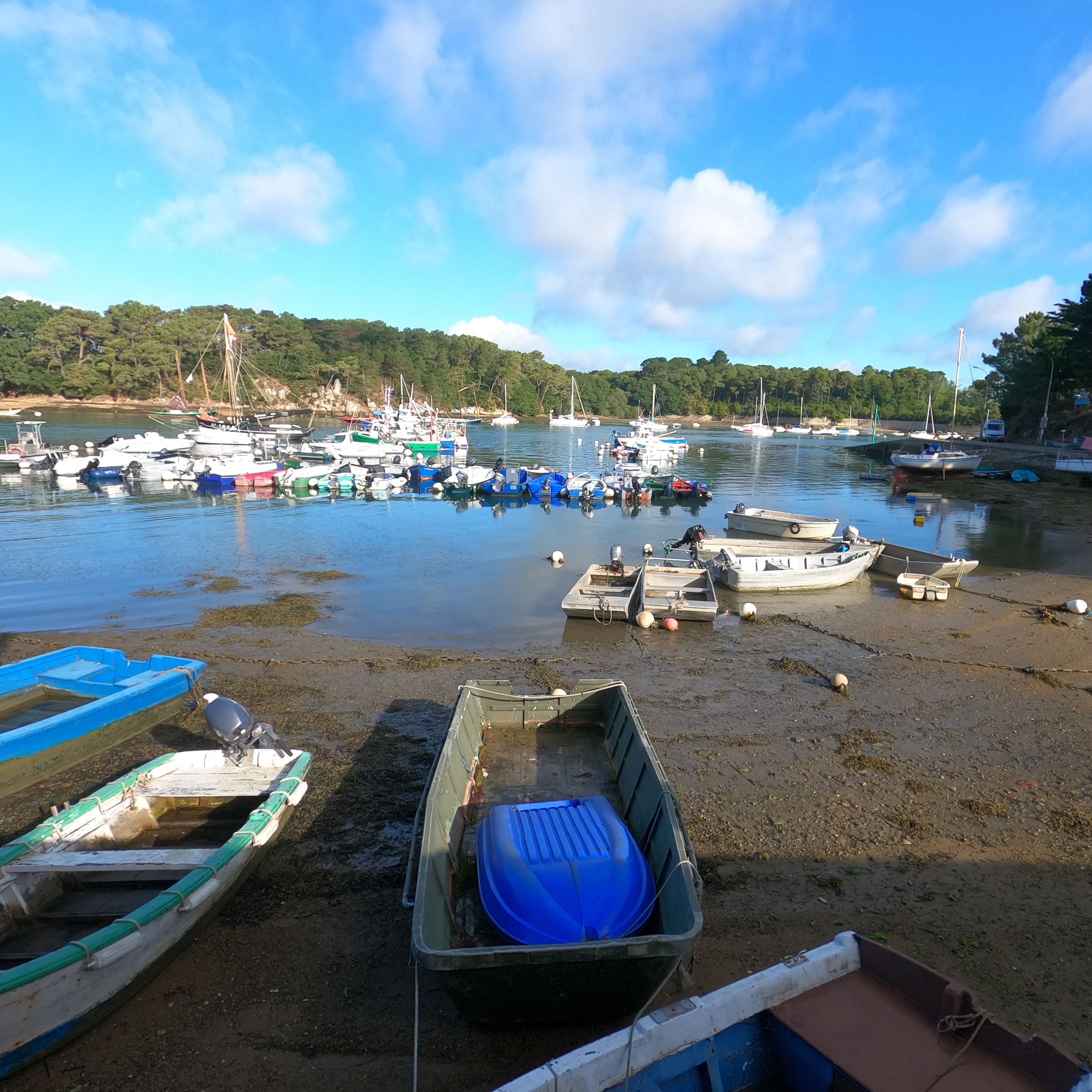 Nous arrivons à Port-Anna, le dernier port de pêche du golfe du Morbihan. Nous remontons la rue de Port-Anna puis nous bifurquons sur la droite pour suivre le sentier ombragé du GR34 (Oui parfois il y a du soleil en Bretagne).