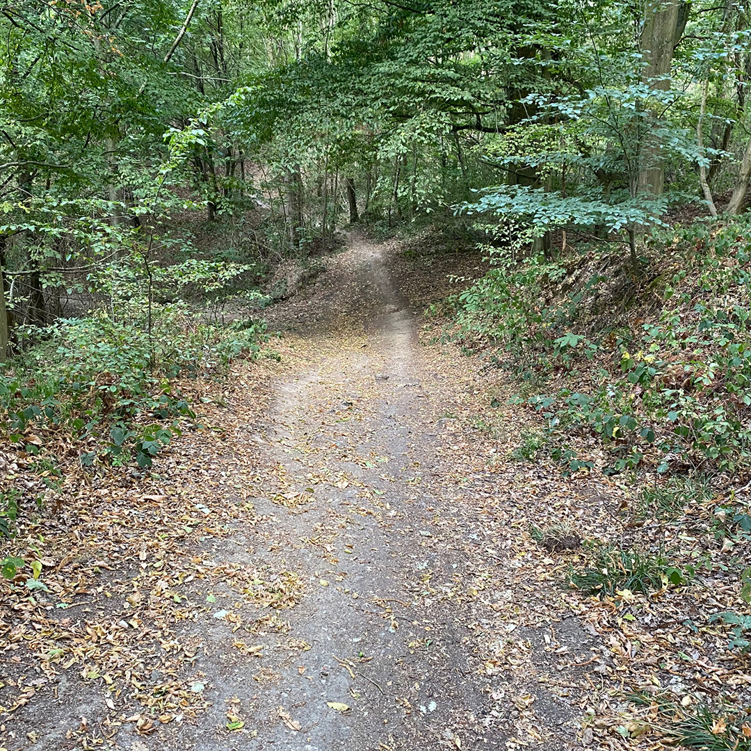 Ne pas prendre les 2 premiers chemins qui partent sur la gauche : la route de l&amp;#039;épi d&amp;#039;or et la route forestière de la fontaine blanche. Il faut aller en face et descendre pour arriver sur un single qui part sur la gauche Mon passage préféré se situe à partir du 7ème km. Pendant environ 3 kms, ca descend, ca monde, et ca vraiment à ce moment que l&amp;#039;on s&amp;#039;amuse le plus pour se brûler les cuisses en direction de l&amp;#039;étang du moulin à renard. 