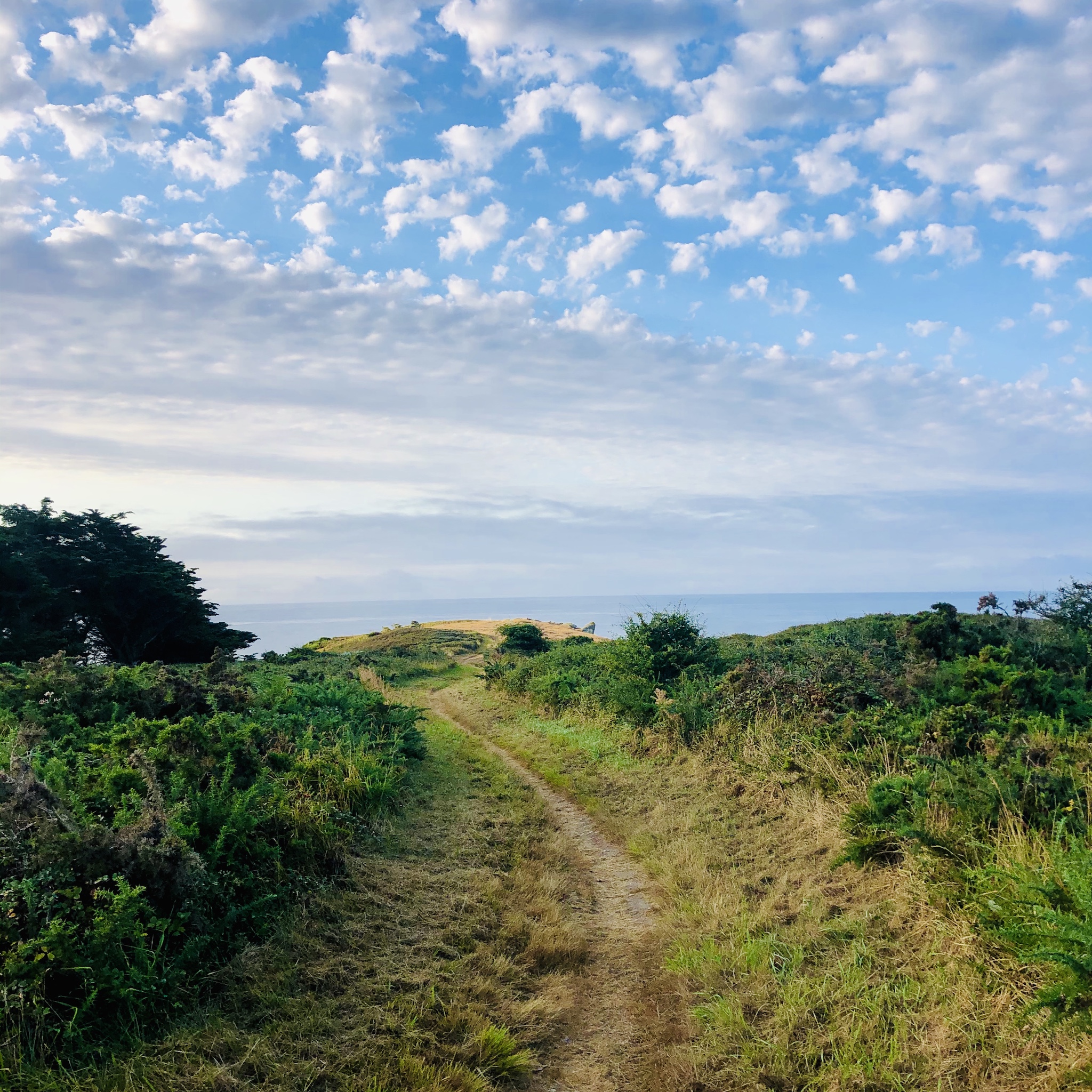 Une bonne demi heure de course pour arriver sur la cote sud et découvrir la superbe anse des soux.