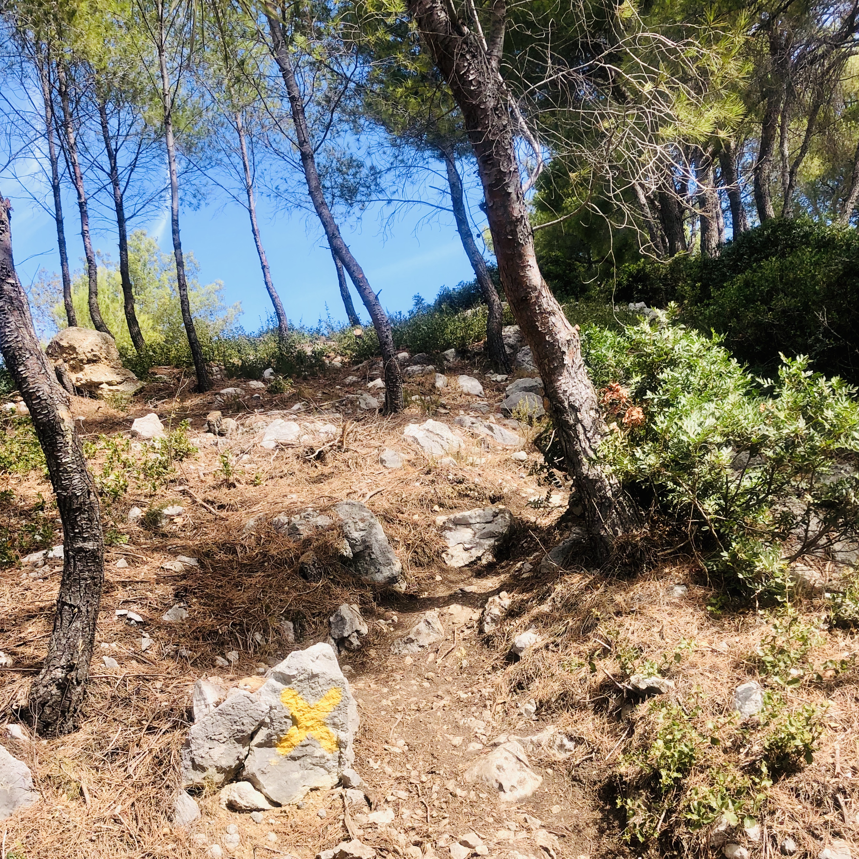 Il faudra ensuite quitter le sentier du littoral en suivant la croix jaune, il faut alors traverser la route en bitume et reprendre le chemin en face qui offrira un superbe point de vue