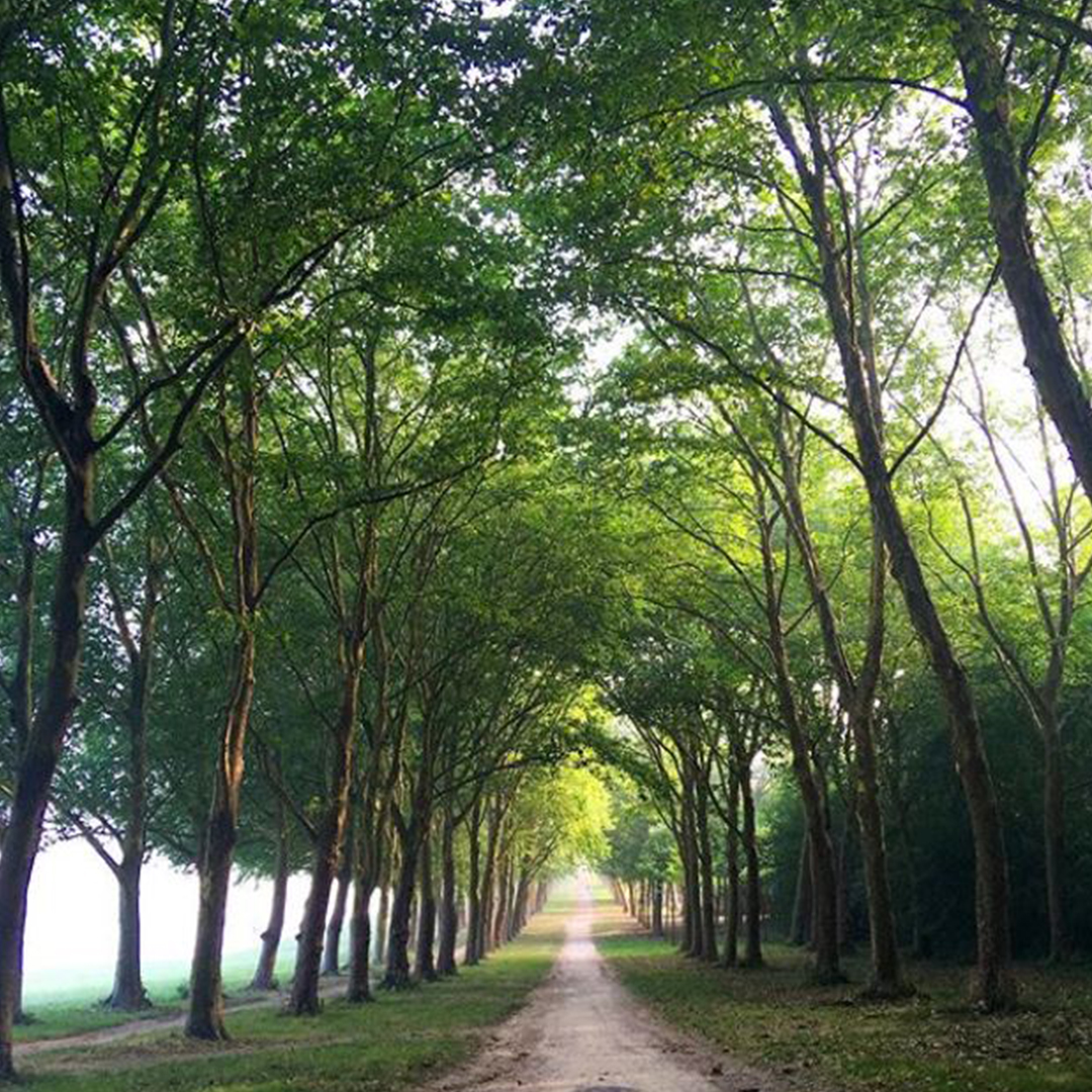 On arrive devant la fameuse &amp;quot;piece d&amp;#039;eau des suisses&amp;quot; qui est immense et arborée d&amp;#039;arbres de part et d&amp;#039;autre, c&amp;#039;est splendide surtout quand les 1ère lueurs du jour s&amp;#039;y réfletent. C&amp;#039;est l&amp;#039;endroit idéal pour le warm up afin de se mettre en jambe et faire un tour complet pour se chauffer un peu. Il faut remonter en direction de la fôret en gardant l&amp;#039;étendue d&amp;#039;eau sur sa droite.