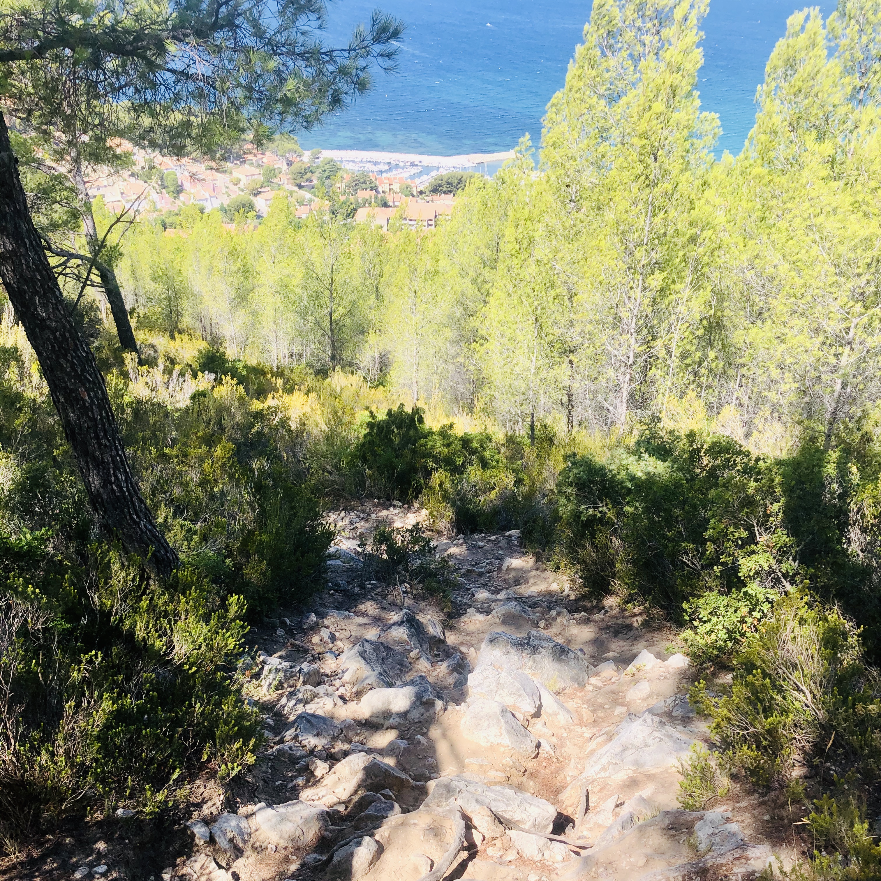 Arrivé en haut, il faut profiter des points de vue de la baie de La Ciotat avant de redescendre, une dernière diffculté bien technique, de grosses pierres et racines avant de retrouver tranquillement le port de la Madrague