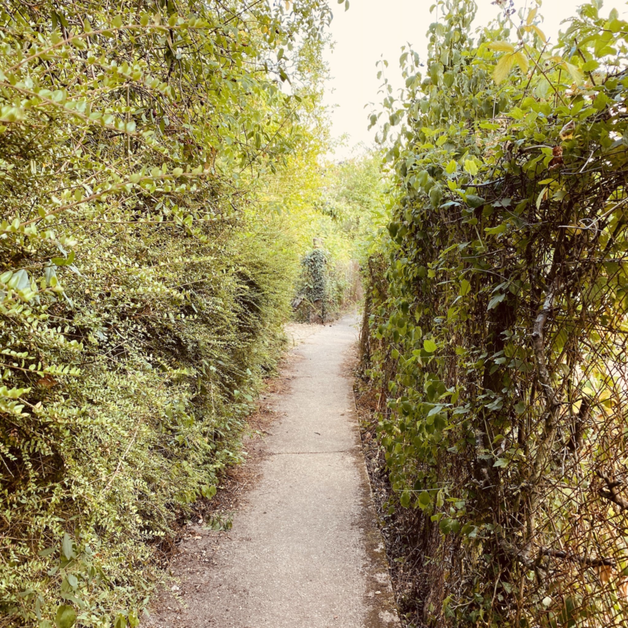 Sentier Laxou