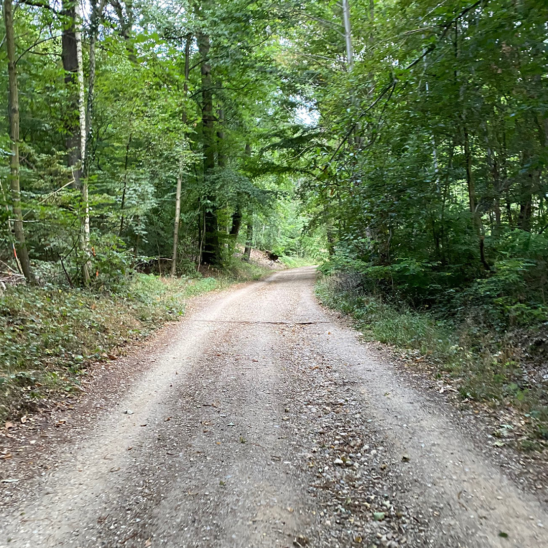 Après être passé sous le pont, prendre à droite, route des mulets, pour entamer une 1ère ascension rapide. Le chemin est peu technique et assez roulant même si ca grimpe et ca descend légèrement sur la route des chataigners, jusqu&amp;#039;au kilomère 5. Ca permet de prendre la temperature. Ensuite il faut traverser une petite partie de bitume avant d&amp;#039;entrée à nouveau dans les bois et passer au dessus de la nationale.