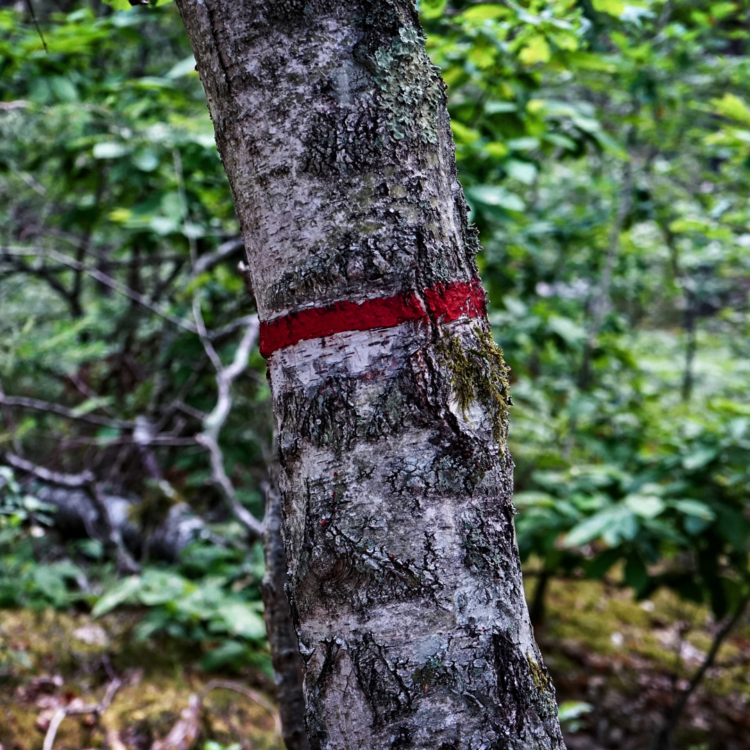 Il faur bien veiller à repérer les fameuses marques rouges pour ne pas se prendre car il y a certains passages cachés et il est parfois délicat de suivre le tracé officiel. Le parcours continue d&amp;#039;être sympa et technique, et on se retrouve dans des réelles conditions de trail avec beaucoup d&amp;#039;accidents sur le chemin et de nombreuses relances.